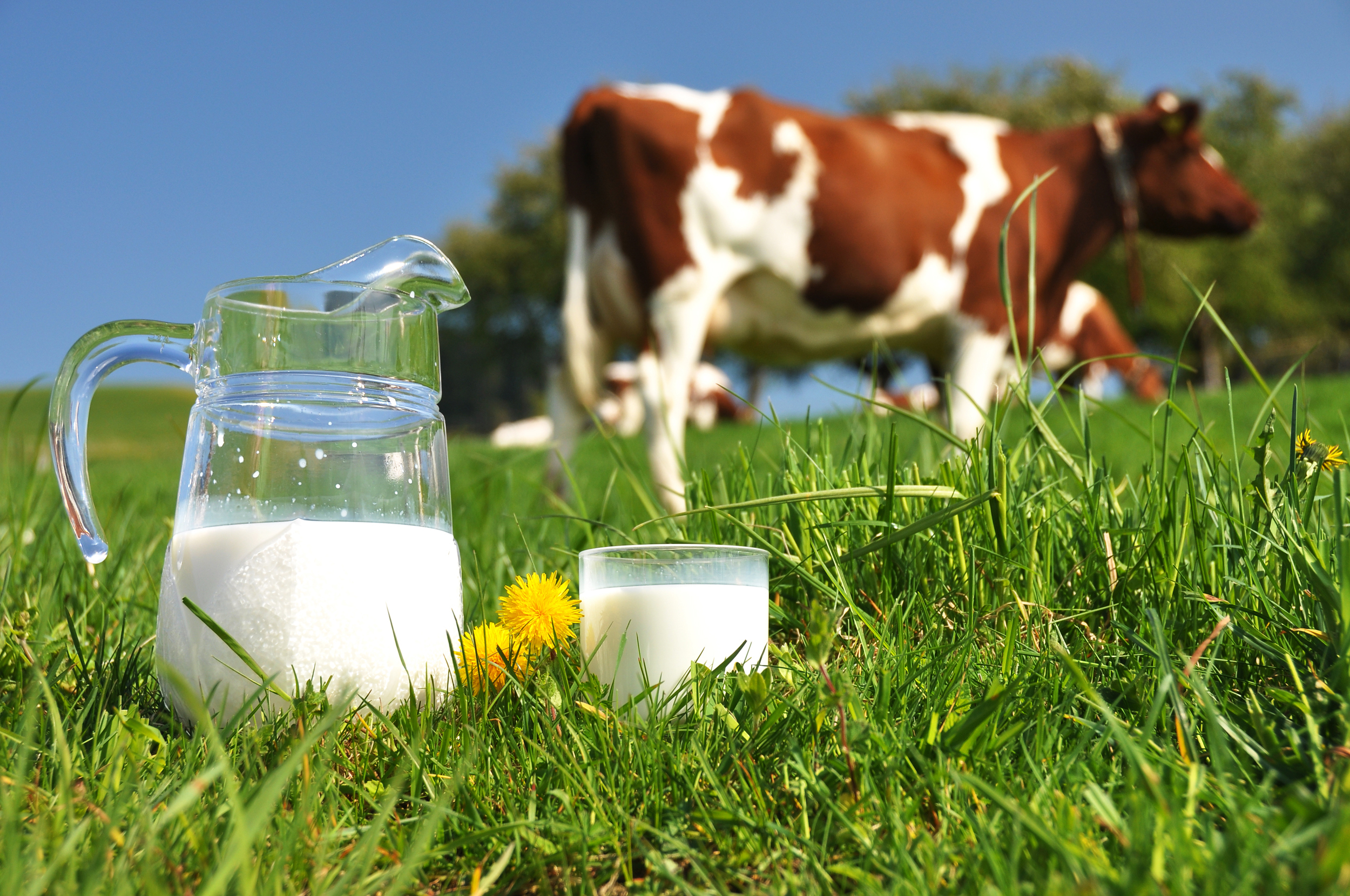Grupo LALA, Florida Bebidas y Coopeleche fortalecerán la oferta de lácteos en el mercado nacional