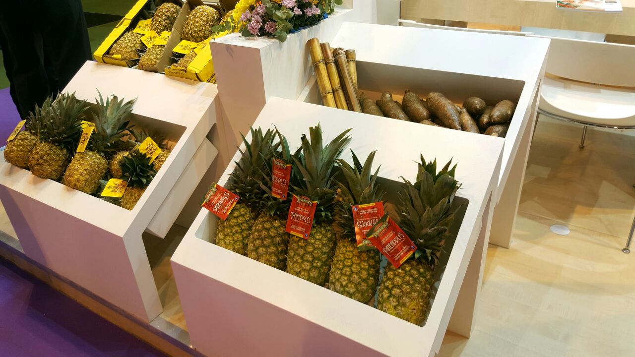 Piña, banano y tubérculos de Costa Rica se exhiben ante más de 49 mil compradores en España