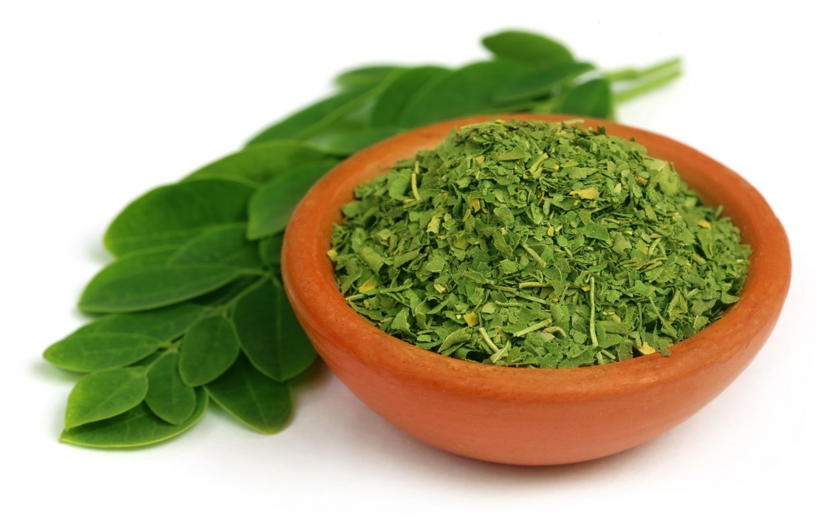 Hojas de Moringa contienen cualidades nutritivas sobresalientes