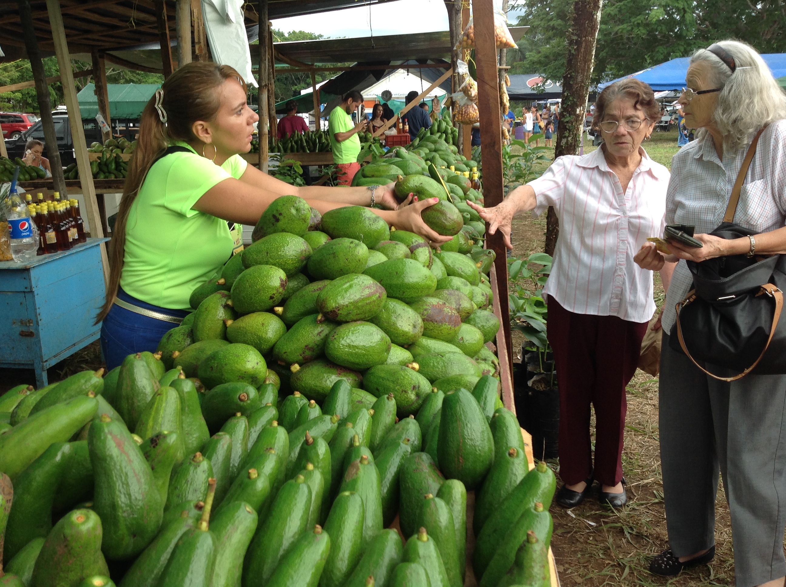 Disfrute de la Feria del Aguacate