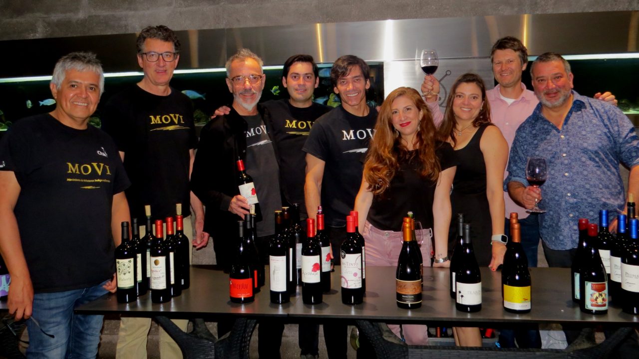 Productores chilenos desean bajar el vino del Olimpo y convertirlo en una bebida para todos