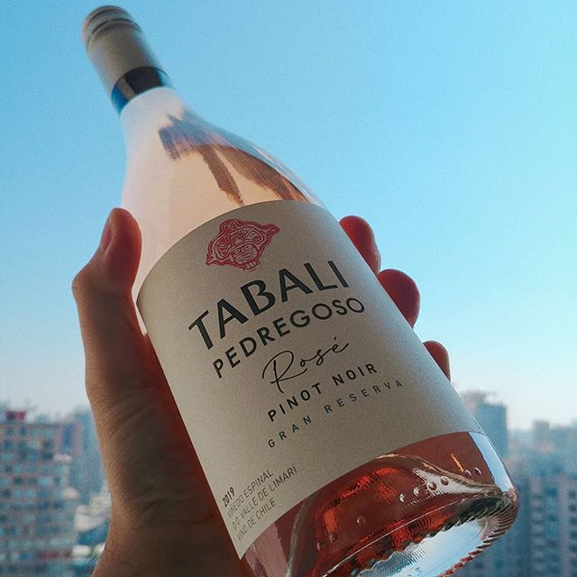 Vinos de la Viña Tabalí: El Mejor Pinot Noir y Mejor Chardonnay de Chile