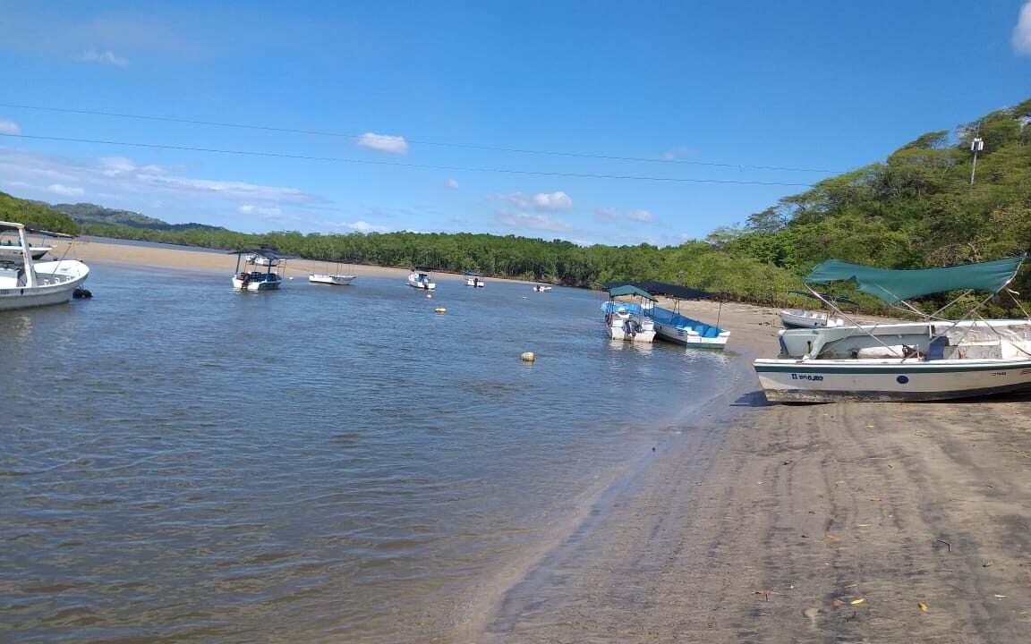 ¿Turistas deben pagar por visitar humedal de Playa Tamarindo?