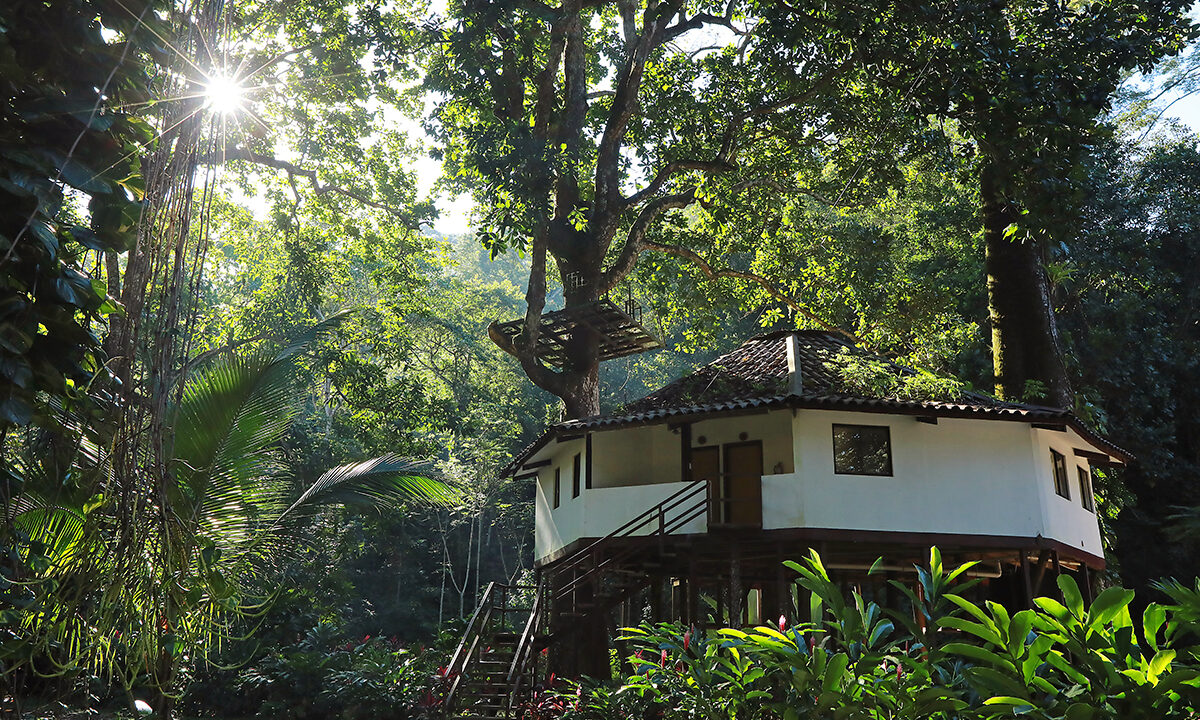 Hoteles de celebran cada mes la “Hora de la naturaleza”