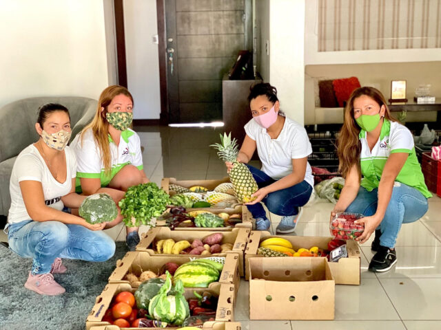Go Fresh frutas y verduras a domicilio