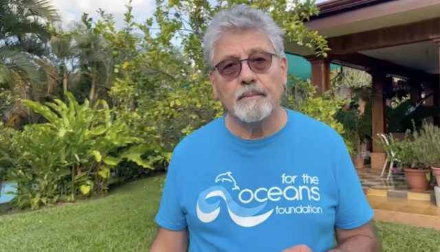 Fundación pide a turistas declararle la paz a los  océanos