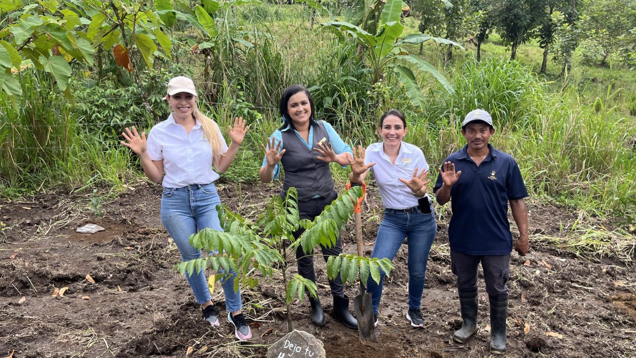 Hotel Arenal Manoa contribuye en la reforestación del Corredor Biológico El Bosquecito