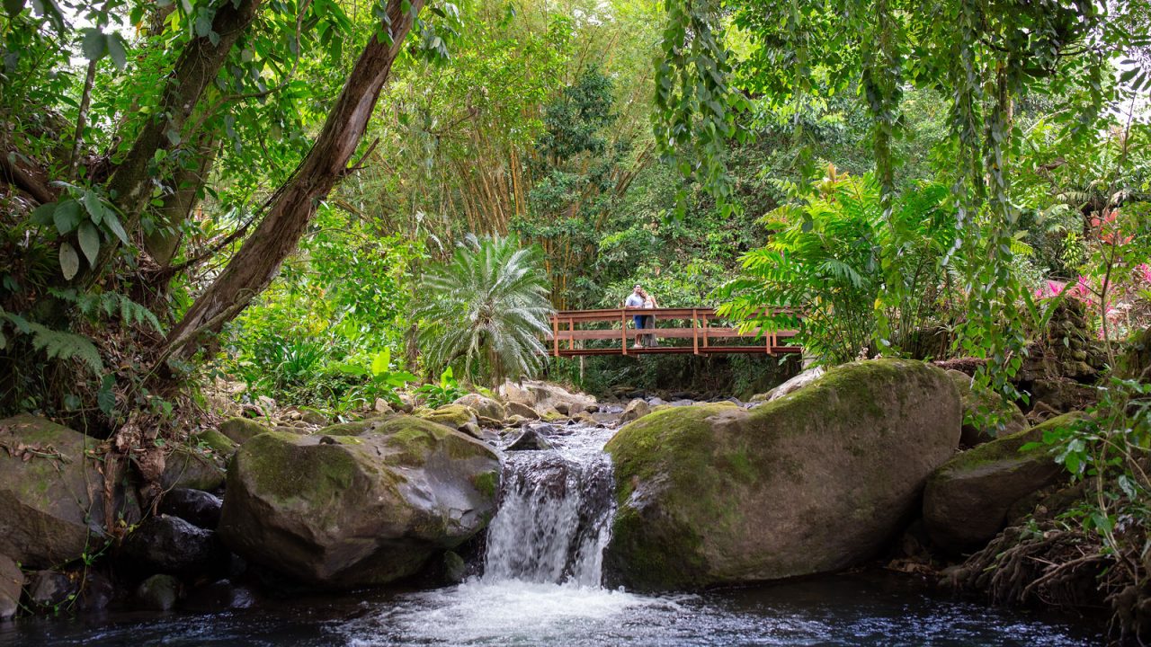 Tours en Chachagua, Sarapiquí y la Fortuna Costa Rica