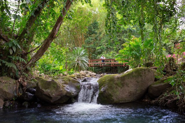 Tours en Chachagua, Sarapiquí y la Fortuna Costa Rica