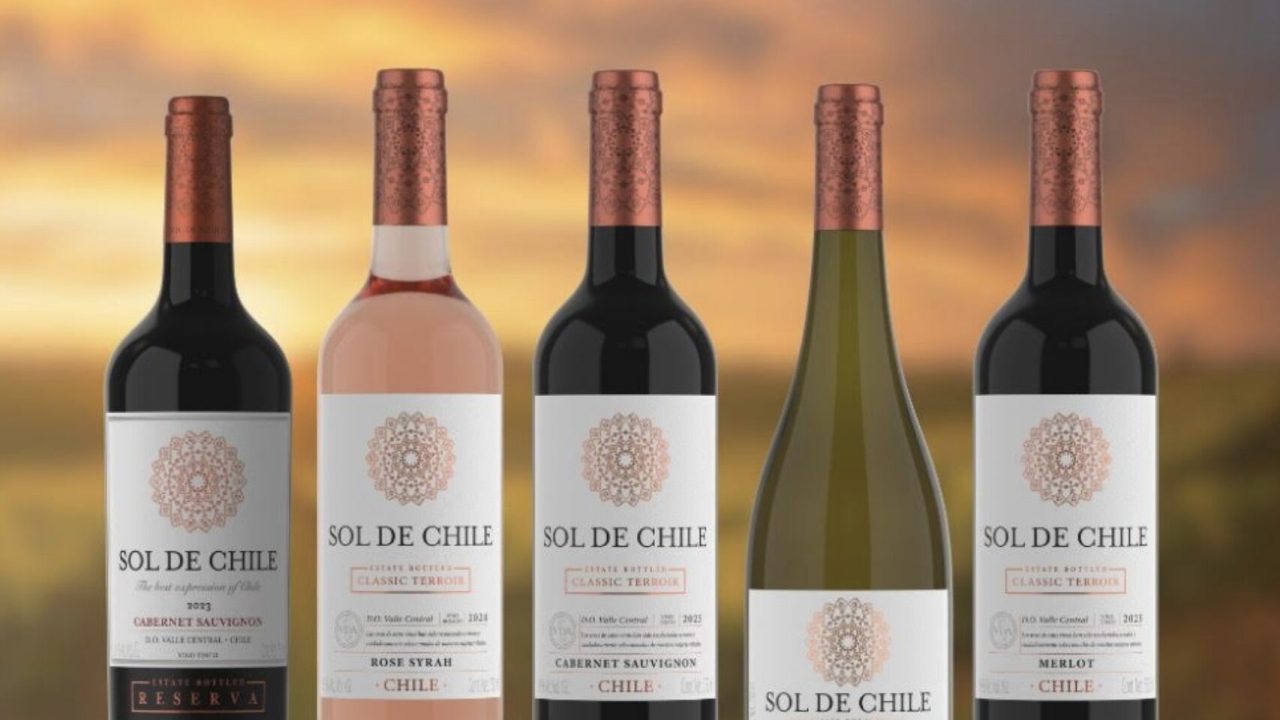 Grupo Corporativo GSR: distribución exclusiva de vinos chilenos