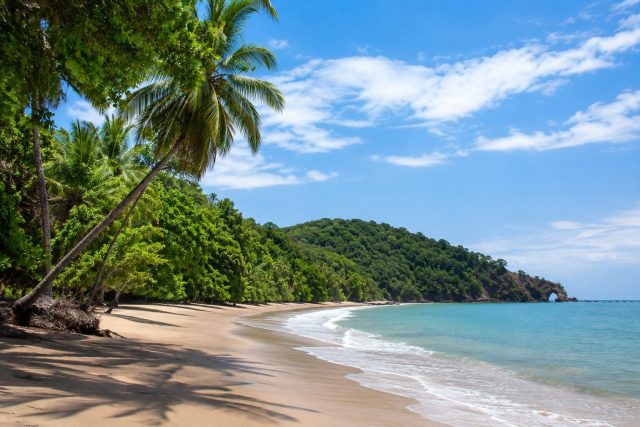 Llegada de turistas a Costa Rica crece en el primer semestre de 2026, pero el sector anticipa un segundo semestre desafiante