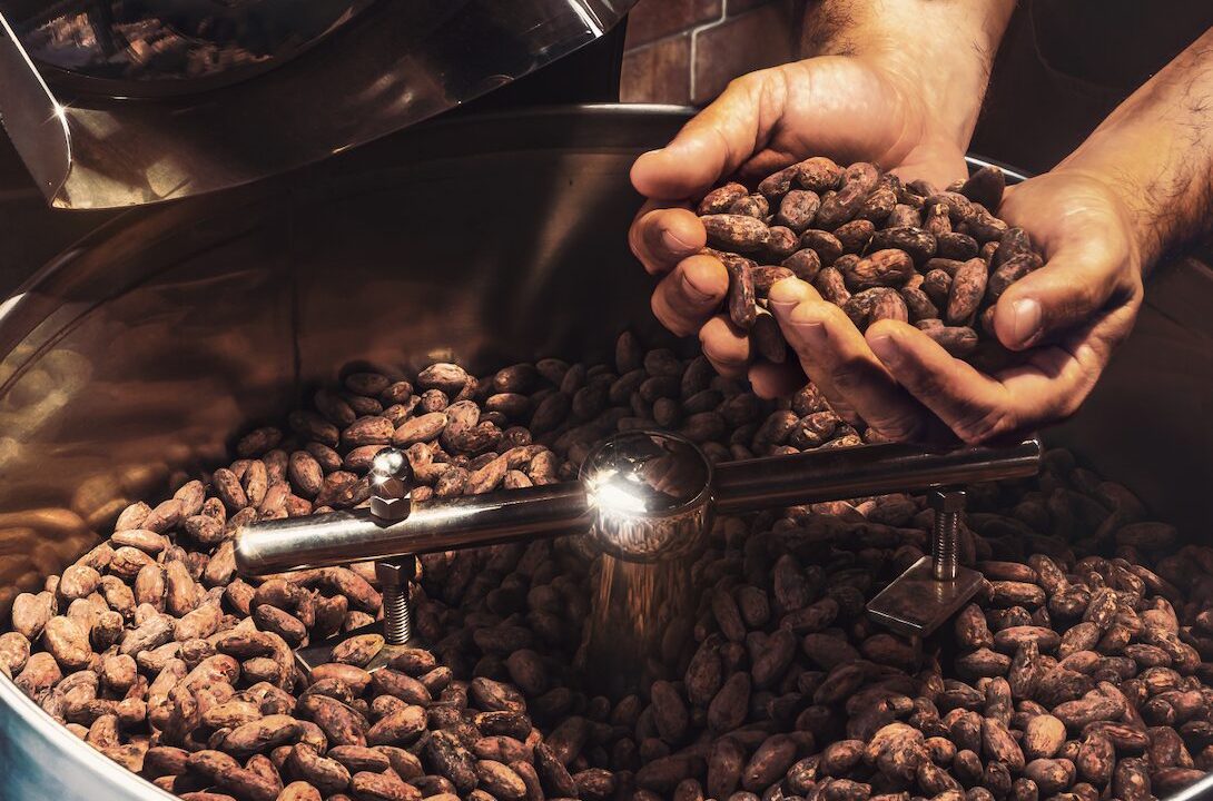 Factory Tour de Chocolate Bean to Bar en Costa Rica
