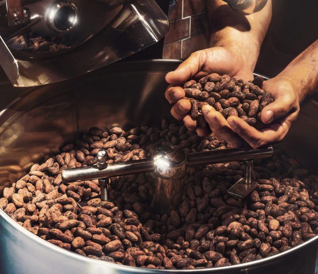 Factory Tour de Chocolate Bean to Bar en Costa Rica