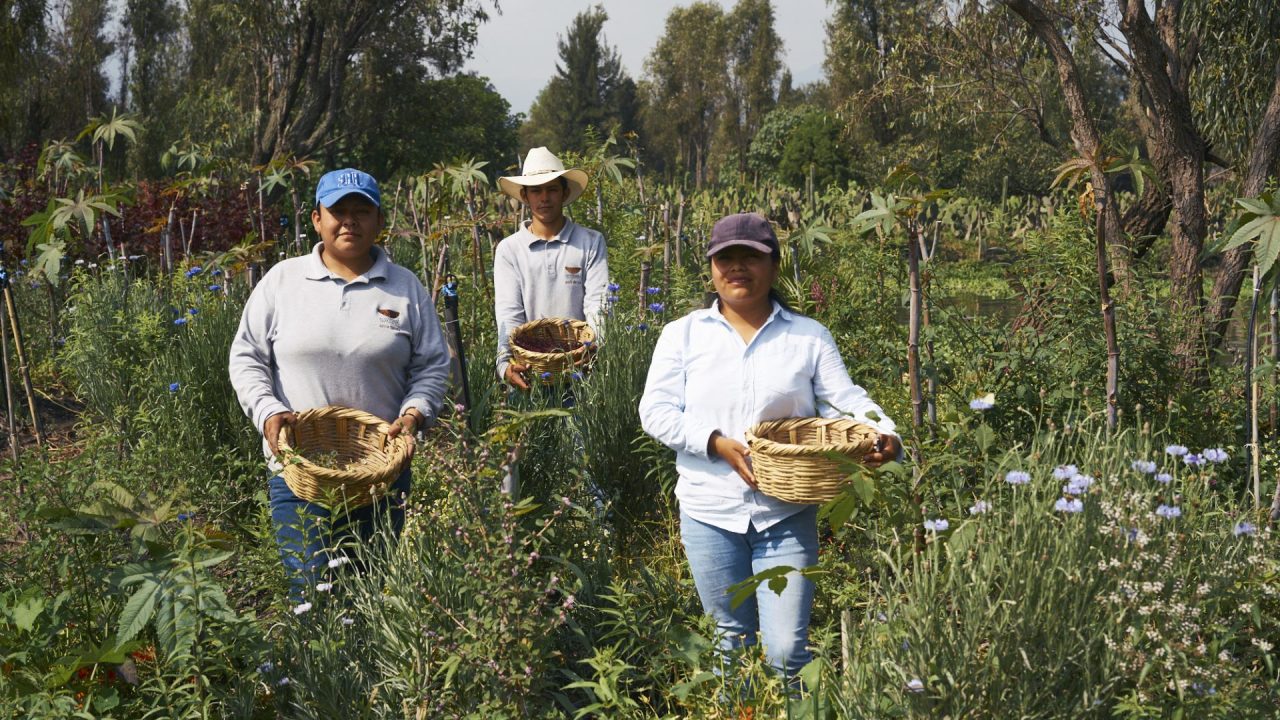 The 50 Best Restaurants Latin America 2026 revela al ganador de Champions of Change Award