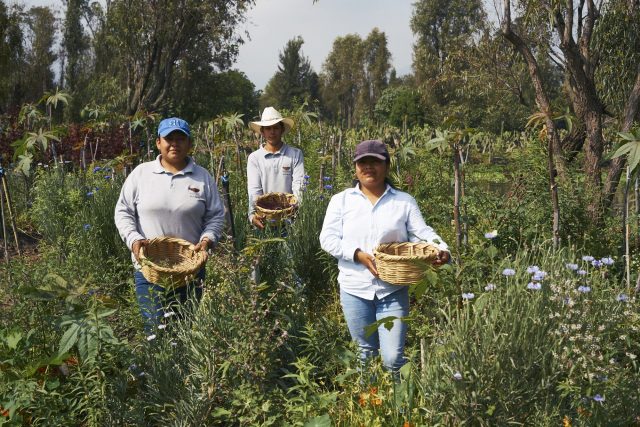 The 50 Best Restaurants Latin America 2026 revela al ganador de Champions of Change Award